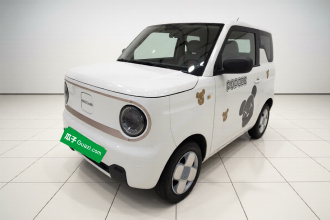 吉利银河 2023款 熊猫mini 200km 耐力熊
