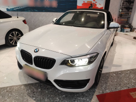 宝马2系(进口) 2019款 225i 敞篷轿跑车 运动设计套装