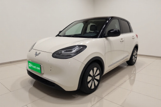 五菱汽车 五菱缤果 2023款 203km 舒享款