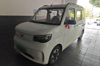 五菱汽车 五菱之光新能源 2025款 305km 进取型