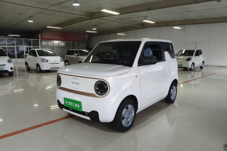 吉利银河 2024款 熊猫mini 200km 耐力熊