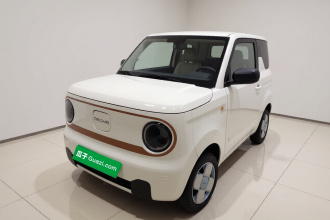 吉利银河 2024款 熊猫mini 200km 耐力熊