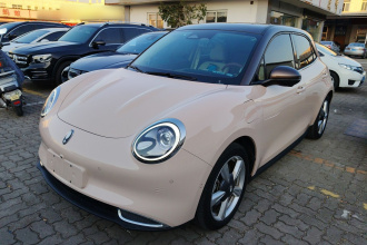 欧拉好猫 2021款 400km标准续航 雅典娜版 磷酸铁锂