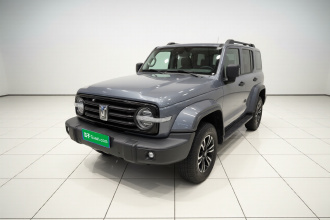 坦克300 2021款 城市版 2.0T 我看型