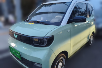 五菱汽车 宏光MINIEV 2021款 马卡龙臻享款 磷酸铁锂