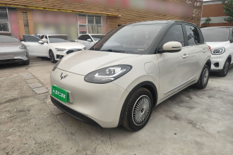 五菱汽车 五菱缤果 2023款 333km 快享款