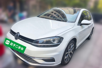 大众 高尔夫 2018款  230TSI 自动豪华型