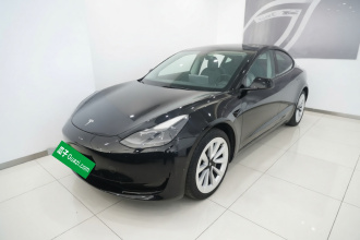 特斯拉 Model 3 2021款 标准续航后驱升级版 3D6