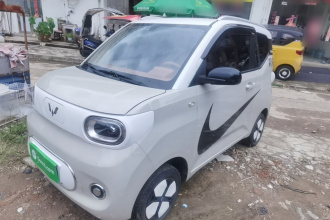 五菱汽车 宏光MINIEV 2024款 第三代 215km 进阶版