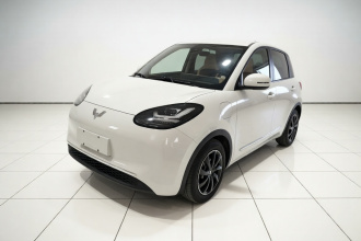 五菱汽车 五菱缤果 2023款 333km 灵犀互联款