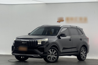 起亚 智跑 2021款 Ace 2.0L 精彩版