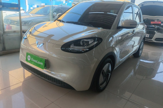 五菱汽车 五菱缤果 2023款 333km 快享款