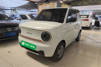 吉利银河 2024款 熊猫mini 200km 耐力熊