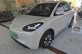 五菱汽车 五菱缤果 2024款 333km 悦享款