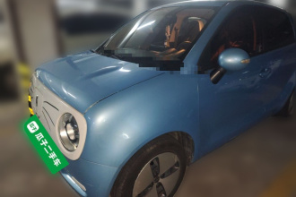 欧拉黑猫 2021款 301km 基础型