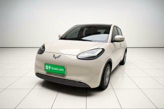 五菱汽车 五菱缤果 2023款 333km 悦享款