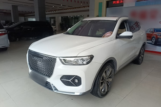 哈弗H6 2021款 1.5T 自动冠军版