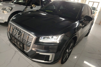 奥迪Q2L e-tron 2019款 Q2L e-tron 纯电智享型