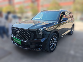 广汽传祺 传祺GS8 2022款 领航系列 2.0TGDI 两驱豪华智联版（七座）