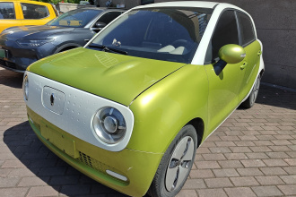 欧拉黑猫 2021款 301km 基础型