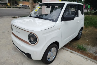 吉利银河 2024款 熊猫mini 200km 耐力熊