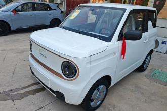 吉利银河 2024款 熊猫mini 200km 耐力熊