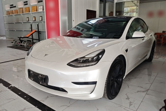 特斯拉 Model 3 2020款 标准续航后驱升级版