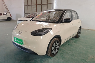 五菱汽车 五菱缤果 2025款 333km 悦享款