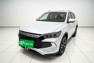 比亚迪 宋Pro新能源 2023款 冠军版 DM-i 110KM卓越型