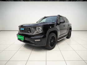 哈弗大狗 PLUS 新能源 2023款 DHT-PHEV 105km 潮电版Plus