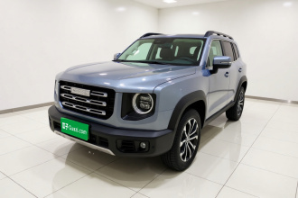 哈弗大狗 2021款 1.5T DCT两驱边牧版
