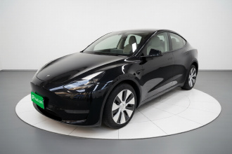 特斯拉 Model Y 2021款 标准续航后驱版