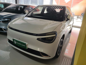 东风纳米 纳米01 2024款 430 Plus智+