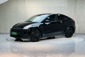 特斯拉 Model Y 2021款 长续航全轮驱动版