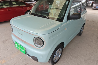 吉利银河 2023款 熊猫mini 120km 超萌熊