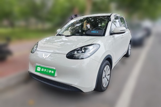 五菱汽车 五菱缤果 2023款 203km 轻享款