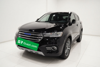 哈弗H6 2017款 蓝标 2.0T 自动两驱智尚型