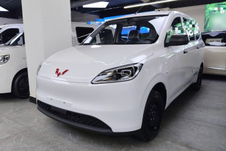 五菱汽车 五菱宏光新能源 2024款 纯电版 300KM 实用型