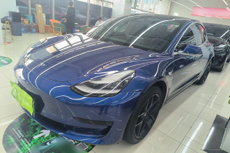 特斯拉 Model 3 2020款 标准续航后驱升级版