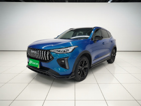 哈弗赤兔 2021款 激擎版 1.5T 铂金兔