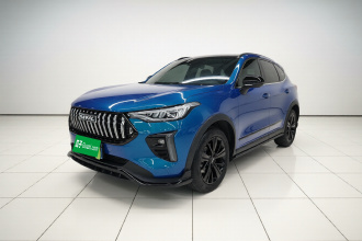 哈弗赤兔 2021款 激擎版 1.5T 铂金兔