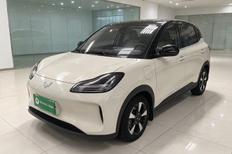 五菱汽车 五菱缤果PLUS 2024款 330km 五座版