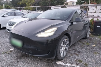 特斯拉 Model Y 2022款 后轮驱动版
