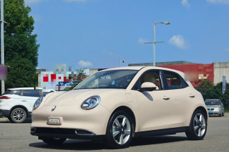 欧拉好猫 2023款 401km标准续航 舒享型 磷酸铁锂
