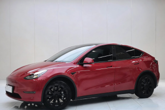 特斯拉 Model Y 2021款 长续航全轮驱动版