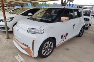 欧拉白猫 2022款 小野猫版 360km 豪华型 三元锂