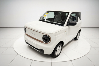 吉利银河 2024款 熊猫mini 200km 耐力熊