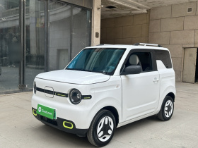 吉利银河 2025款 熊猫mini 210km 元气熊