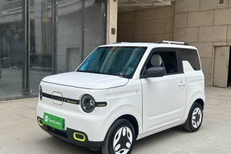 吉利银河 2025款 熊猫mini 210km 元气熊