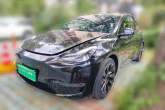 特斯拉 Model Y 2021款 标准续航后驱版